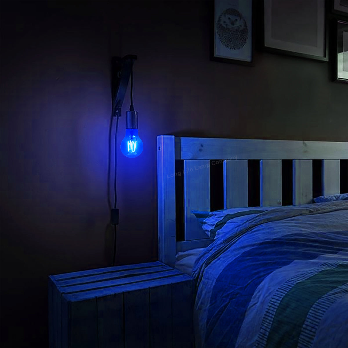 6W LED BLUE Light Bulb E27 Screw Cap Glass A60