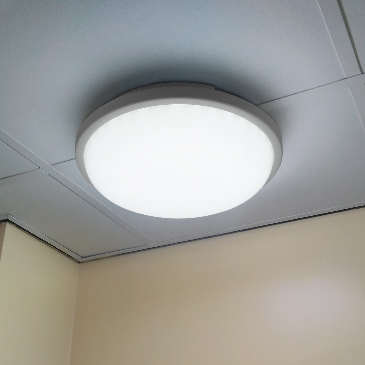 20w LED Bulkhead Round Ceiling Light Cool White