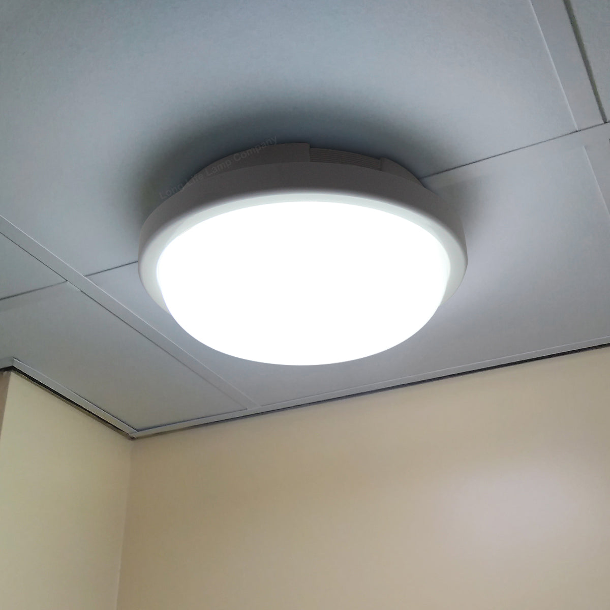15w LED Bulkhead Round Ceiling Light Cool White - Free delivery on all orders