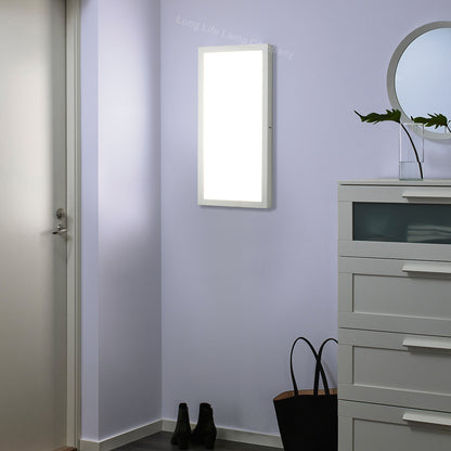 36W LED Panel 300x600 Surface Mount Ceiling Light Cool White - Free delivery on all orders
