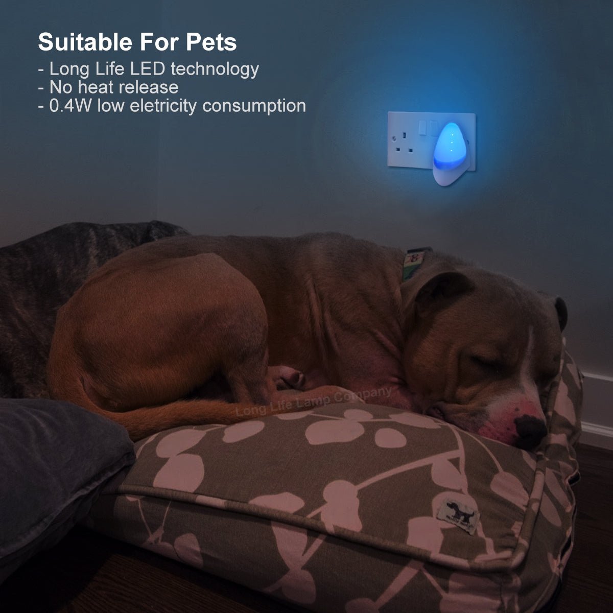 Automatic Blue LED Night Light Plug In Energy Saving Dusk 2 Dawn - Energy Light Bulbs - Free delivery on all orders