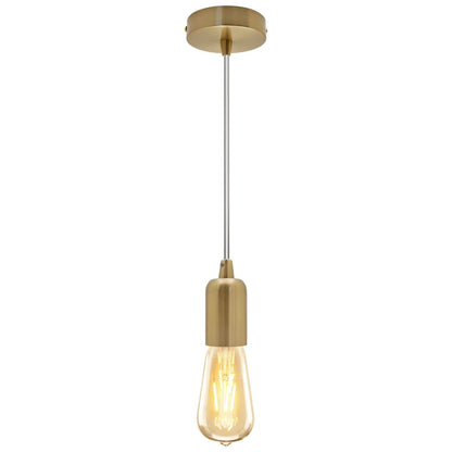Ceiling Rose Pendant E27 Fitting Brass Flex Hanging Lamp Holder Kit - Energy Light Bulbs - Free delivery on all orders