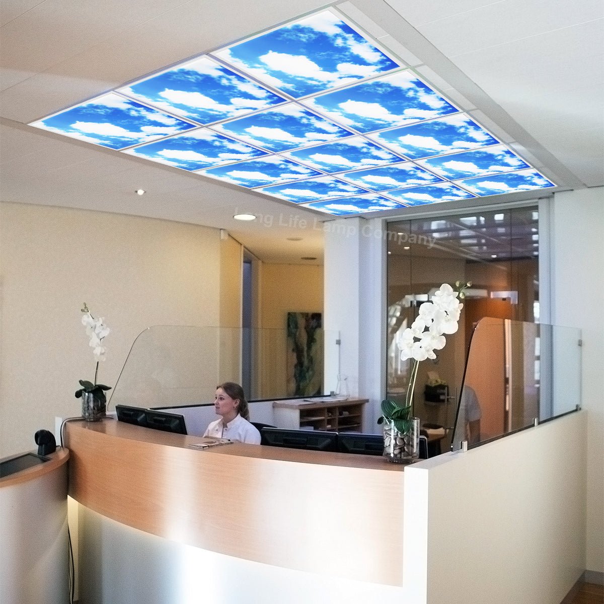 Dimmable 40w Sky LED Recessed Ceiling Panel 600 X 600 Cloud Scene SKY01 With Dimmable Transformer - Energy Light Bulbs - Free delivery on all orders