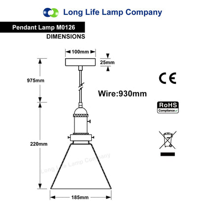 Glass Ceiling Lamp Shade Pendant Light with ST58 LED 4w E27 - Energy Light Bulbs - Free delivery on all orders