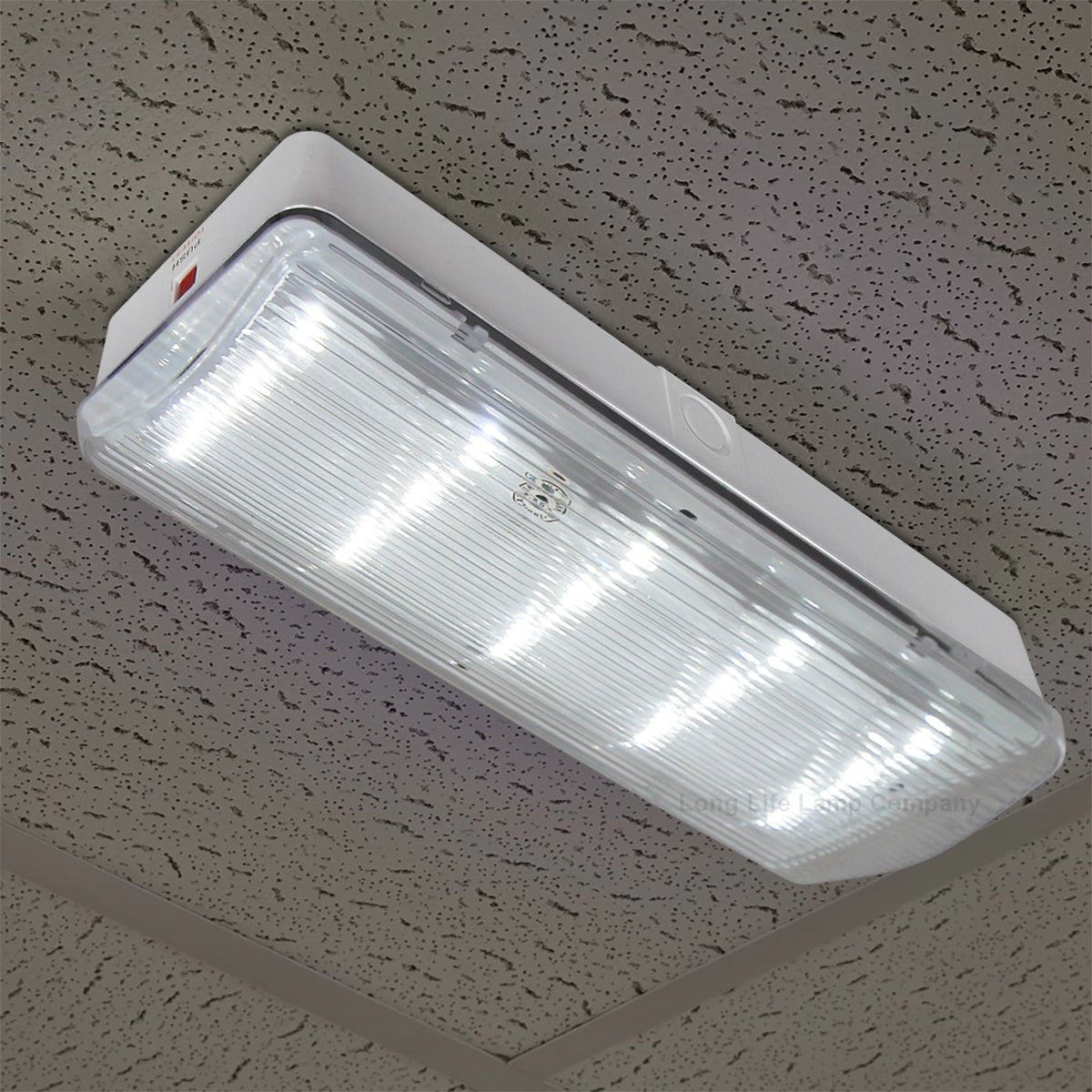 Glass Emergency LED Light Bulkhead with Green Man Fire Exit Sleeve Celling or Wall Mount - Energy Light Bulbs - Free delivery on all orders