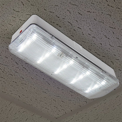 Glass Emergency LED Light Bulkhead with Green Man Fire Exit Sleeve Celling or Wall Mount - Energy Light Bulbs - Free delivery on all orders