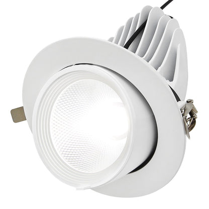 30W Adjustable LED Recessed Downlight 5000K Ceiling Spot