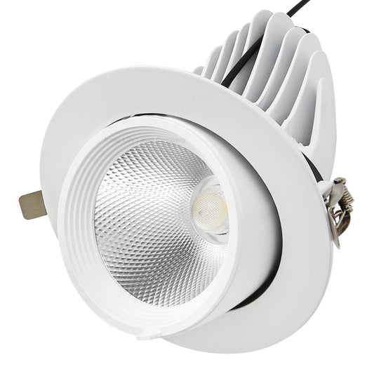 LED Downlight Adjustable Commercial Recessed Ceiling Spot Light 30w 5000k Ultra Bright