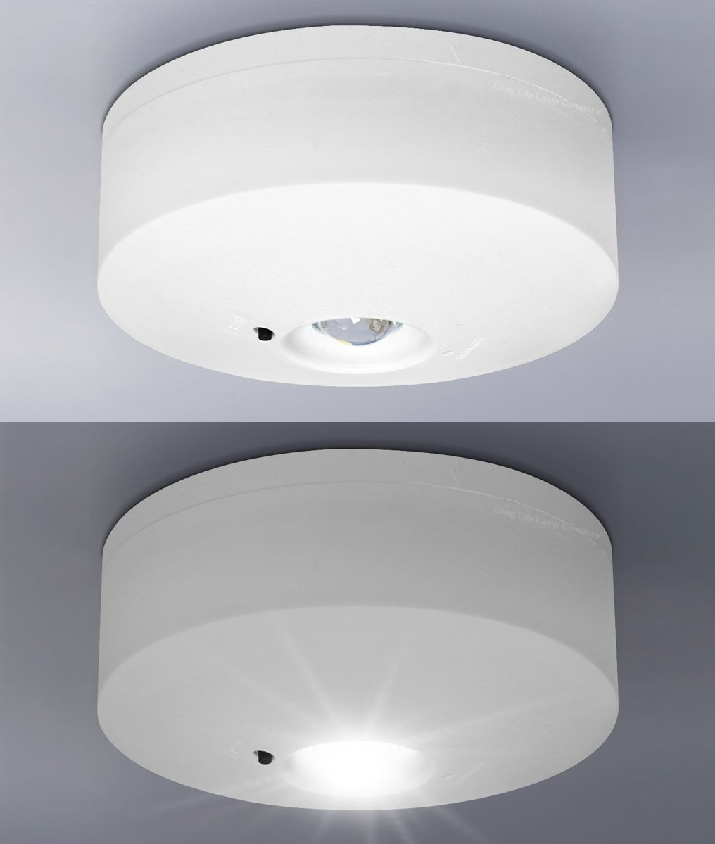 LED Emergency Light Flush Mounted Maintained/Non Maintained - Energy Light Bulbs - Free delivery on all orders