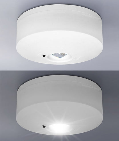 LED Emergency Light Flush Mounted Maintained/Non Maintained - Energy Light Bulbs - Free delivery on all orders