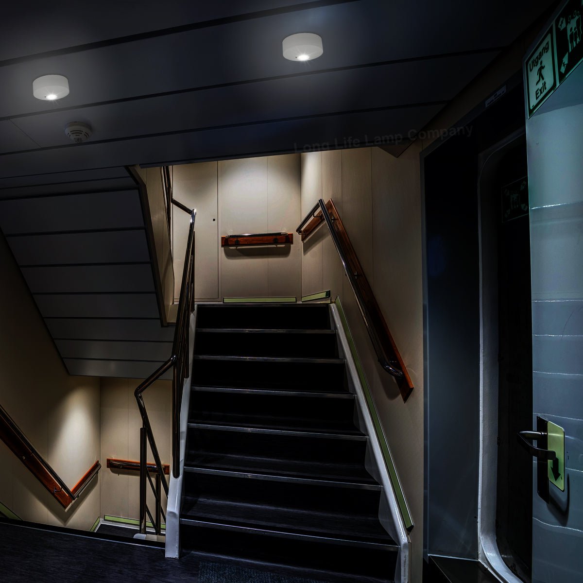 LED Emergency Light Flush Mounted Maintained/Non Maintained - Energy Light Bulbs - Free delivery on all orders