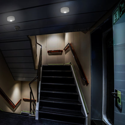 LED Emergency Light Flush Mounted Maintained/Non Maintained - Energy Light Bulbs - Free delivery on all orders