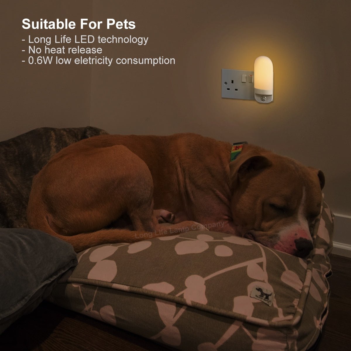 LED Night Light Dusk To Dawn Auto Sensor Warm White A88 - Energy Light Bulbs - Free delivery on all orders