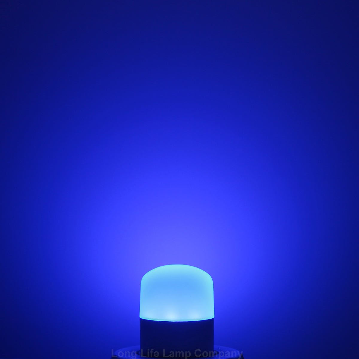 LED PYGMY Bulbs 1.5W T26 Fridge Sewing E14 Bulbs - Free delivery on all orders