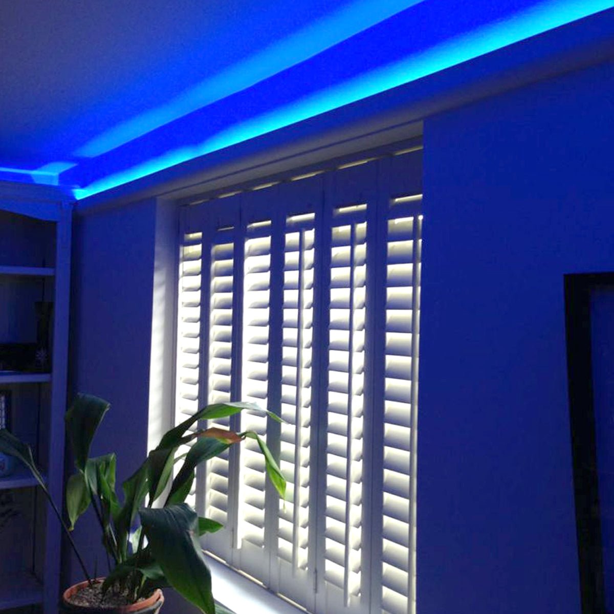 LED Tape Strip Light Continuous COB Illumination 15 Metres 24V Blue - Energy Light Bulbs - Free delivery on all orders