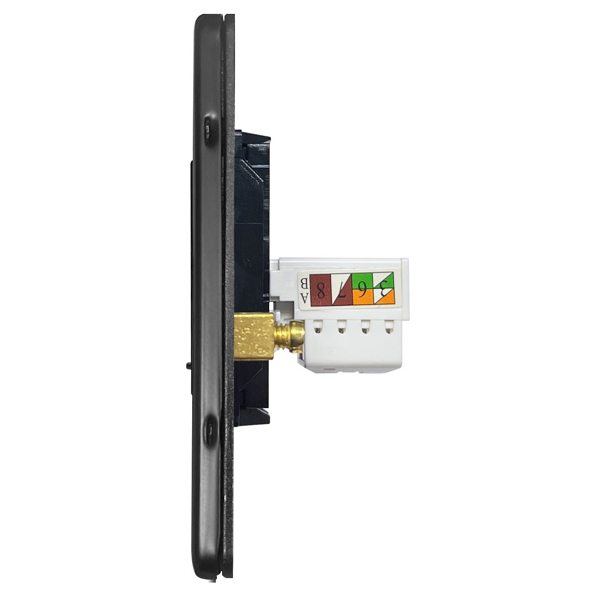 Screwless 2 gang Ethernet socket with 8-terminal CAT6 connection