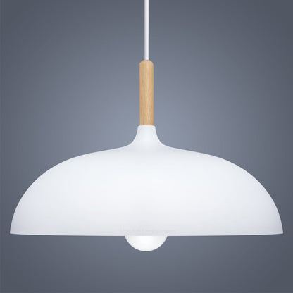 Metal Ceiling Pendant Shade - Energy Light Bulbs - Free delivery on all orders