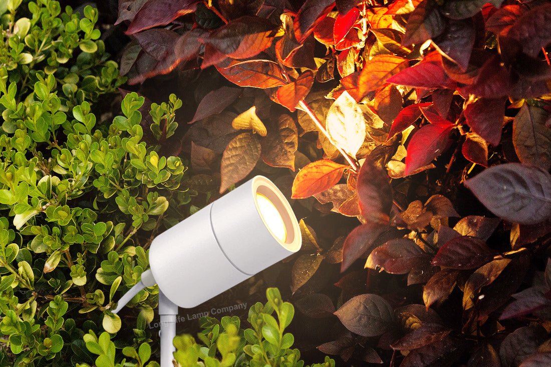 Outdoor Garden Spike Light Stainless Steel White Finish Adjustable Head IP54 - Energy Light Bulbs - Free delivery on all orders
