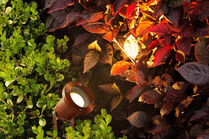 Outdoor Ground Spike Light Stainless Steel Copper Finish Adjustable Head - Energy Light Bulbs - Free delivery on all orders