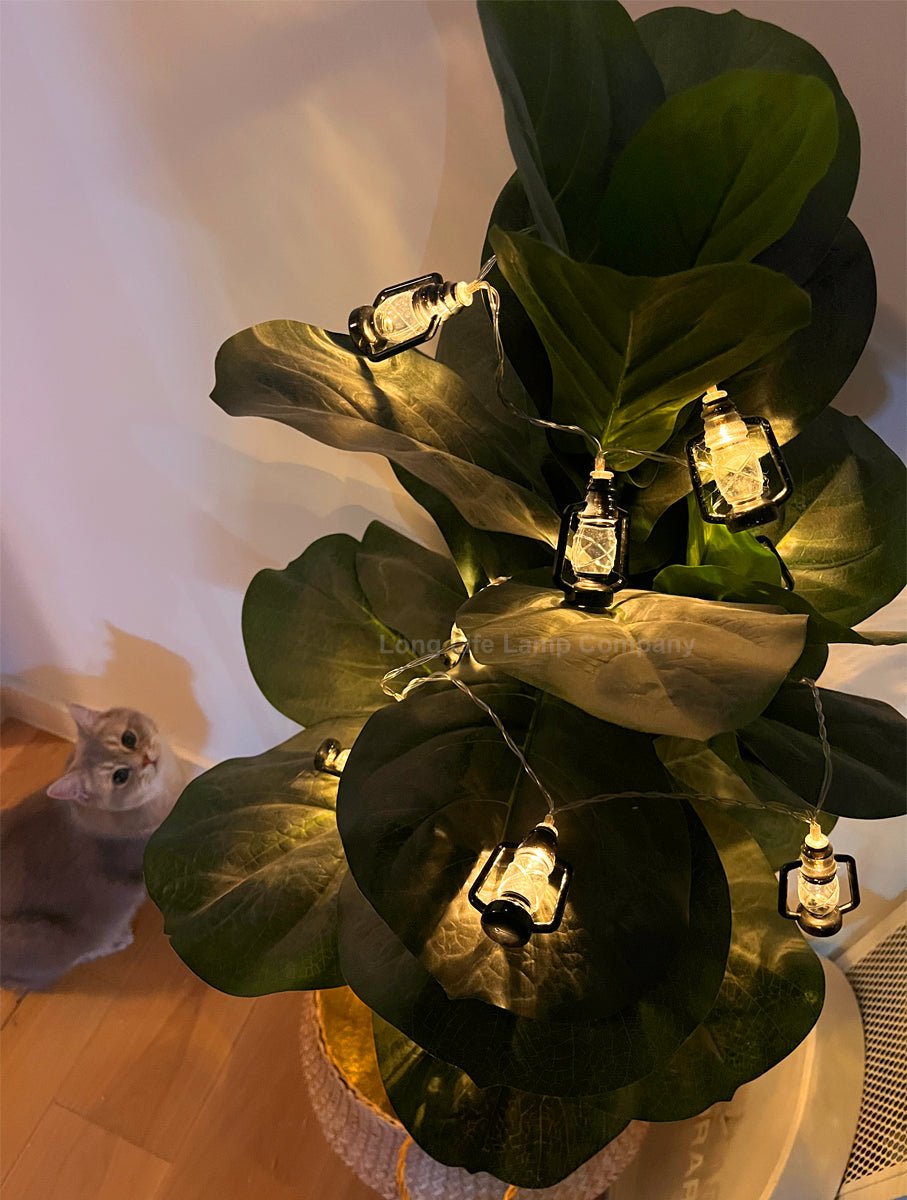 Outdoor or Indoor Mini Lantern 20 LED String Lights IP44 Mains Powered 2500K - Energy Light Bulbs - Free delivery on all orders