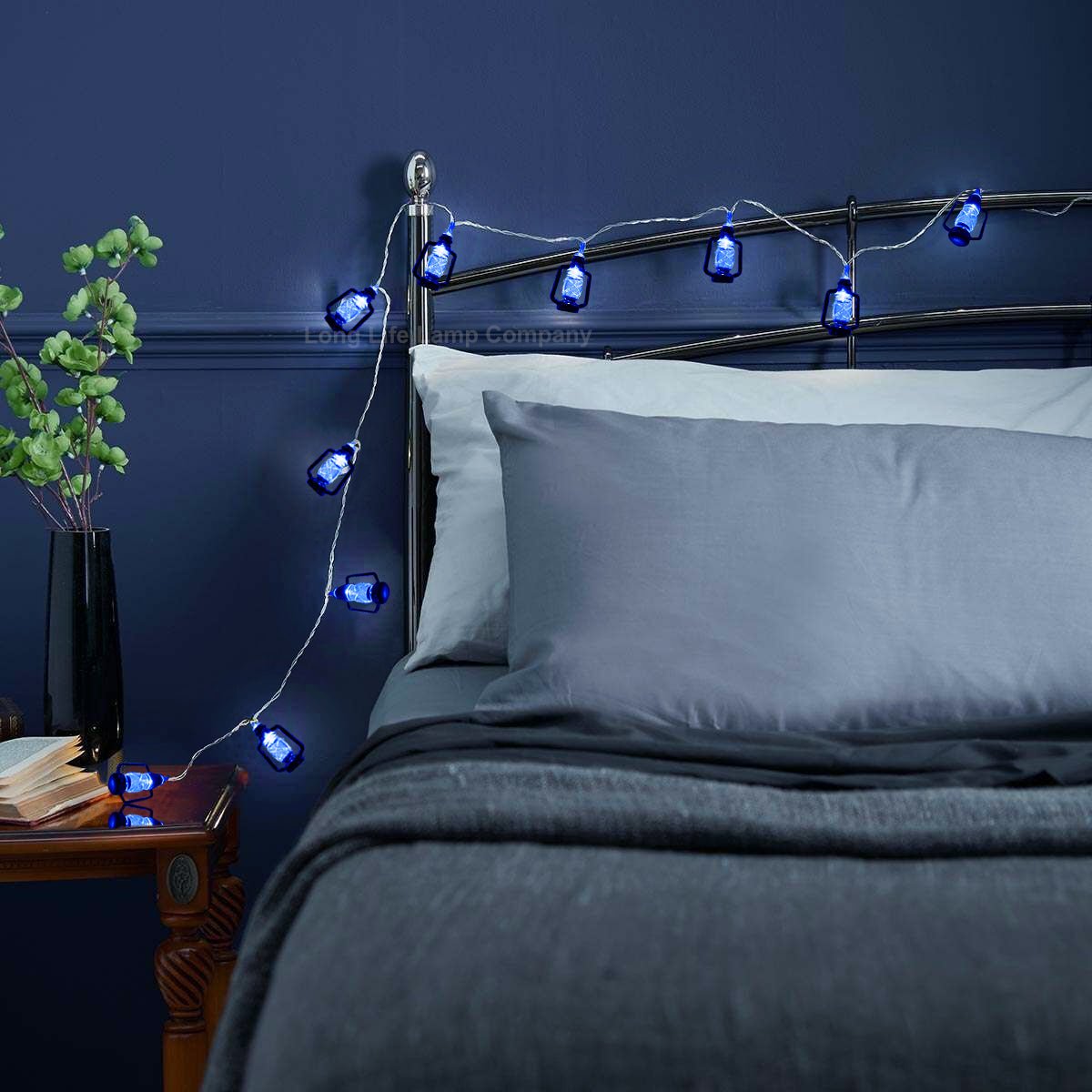 Outdoor Or Indoor Mini Lantern 20 LED String Lights IP44 Mains Powered Blue - Energy Light Bulbs - Free delivery on all orders
