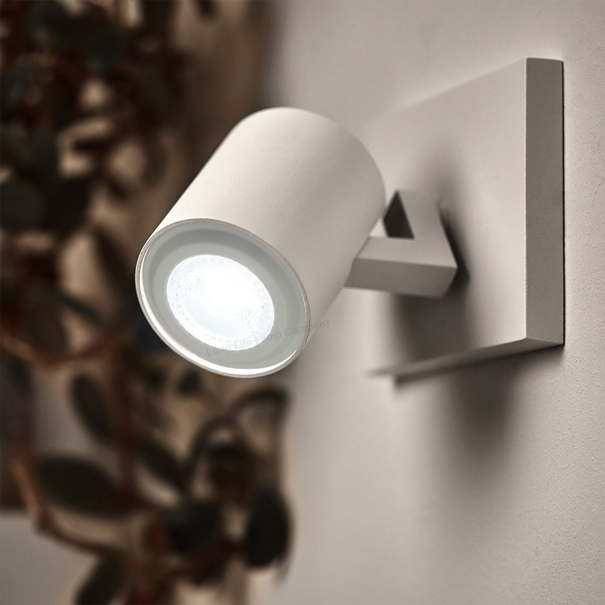 PAR20 7w Cool White 38 Degree Beam - Energy Light Bulbs - Free delivery on all orders