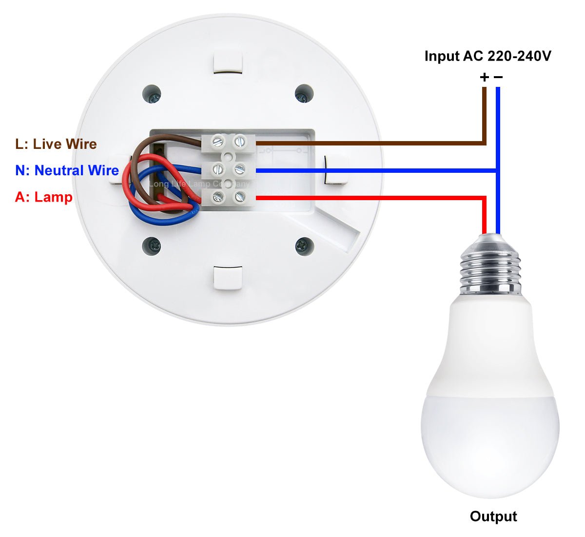 Surface Mount 360° Angle PIR Ceiling Occupancy Motion Sensor Detector Light Switch - Energy Light Bulbs - Free delivery on all orders